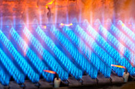 Ravernet gas fired boilers